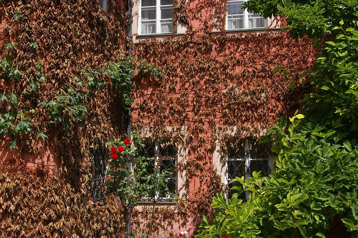 Český Krumlov Travel Guide: Best Things to Do & Local Secrets 2026