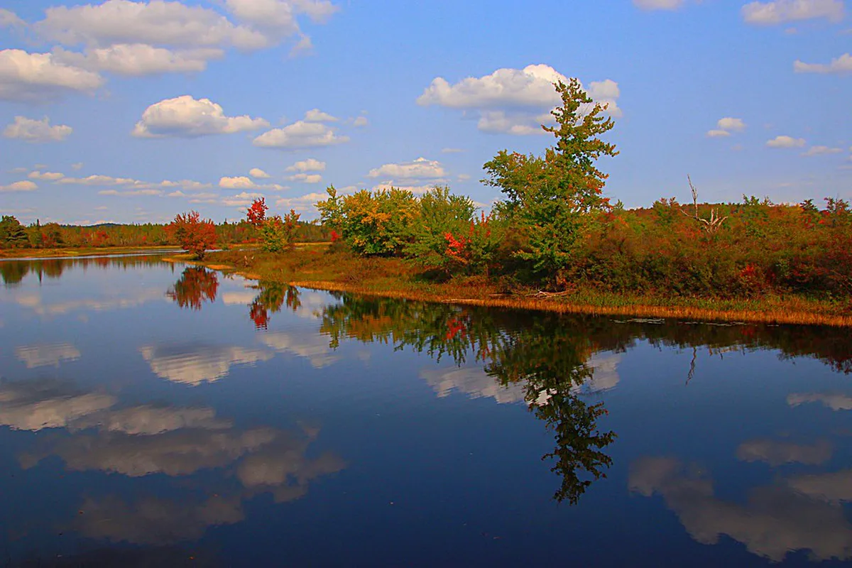 9 Easy Hiking Trails Along the Střela River Near Plzeň